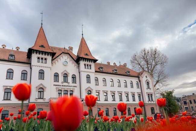 Poza pentru articolul Primăria Lugoj organizează dezbatere publică pentru noile organigrame ale instituției și ale Serviciului pentru Situații de Urgență