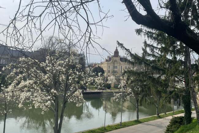 Poza pentru articolul Ce facem astăzi, 23 martie 2026, în Timișoara?