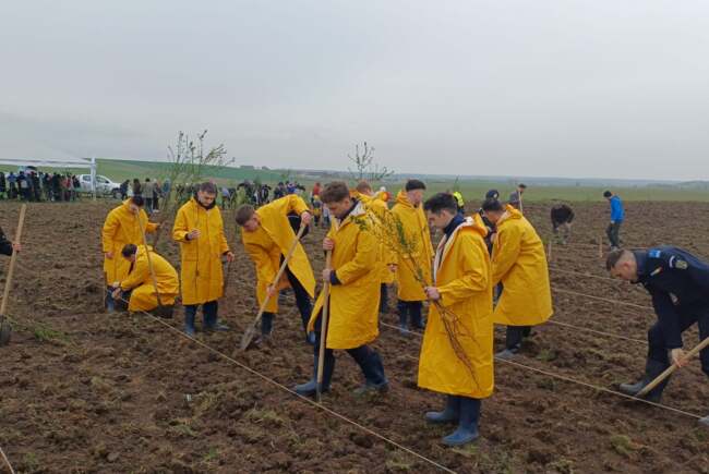 Poza pentru articolul Un gest simbolic pentru un viitor verde. Peste 170 de arbori plantați de jandarmii timișeni, la aniversarea instituției