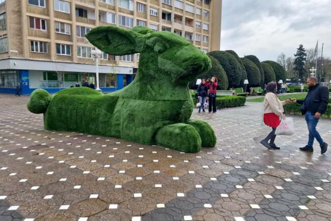 Poza pentru articolul Ce facem astăzi, 1 aprilie 2026, în Timișoara?