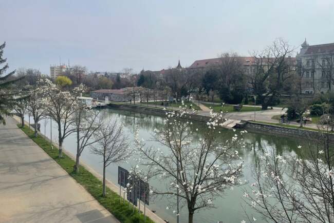 Poza pentru articolul Ce facem astăzi, 19 martie 2026, în Timișoara?