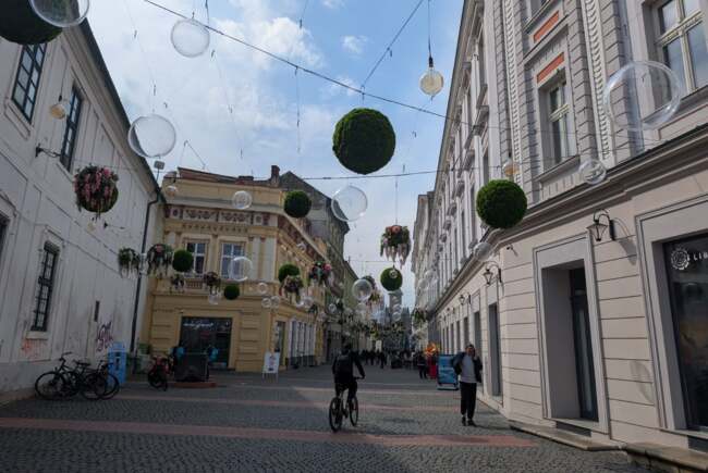 Poza pentru articolul Ce facem astăzi, 19 aprilie 2026, în Timișoara?