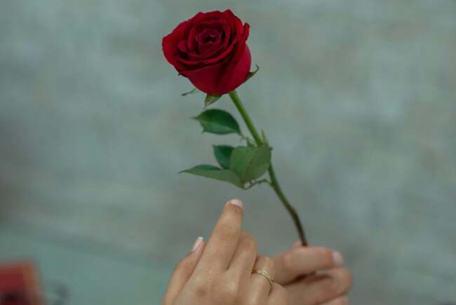 Poza pentru articolul Ce facem astăzi, 8 martie 2026, în Timișoara?