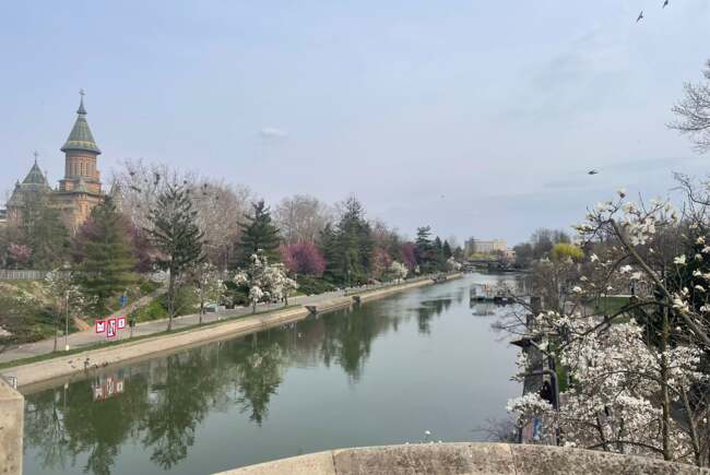 Poza pentru articolul Ce facem astăzi, 4 aprilie 2026, în Timișoara?