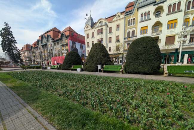 Poza pentru articolul Ce facem astăzi, 18 mai 2026, în Timișoara?