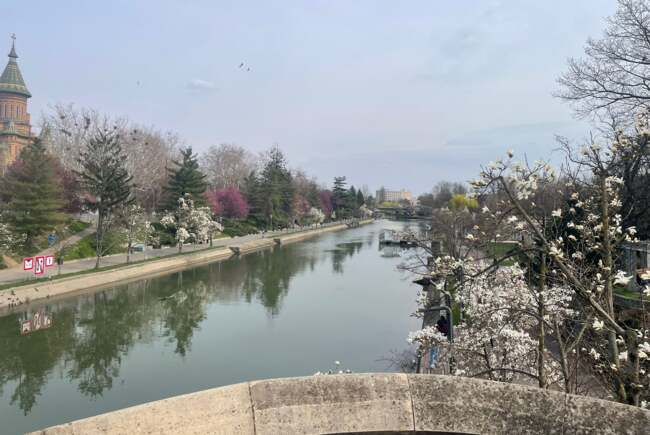 Poza pentru articolul Ce facem astăzi, 22 martie 2026, în Timișoara?