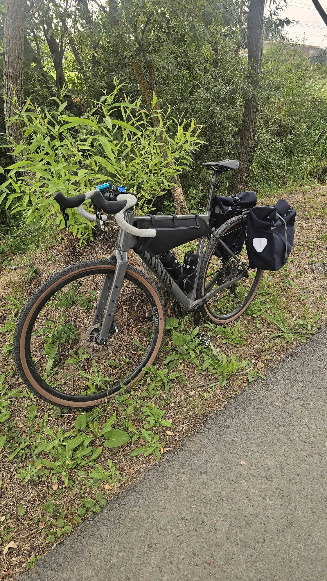 Sorin Chiuzbaian (2)