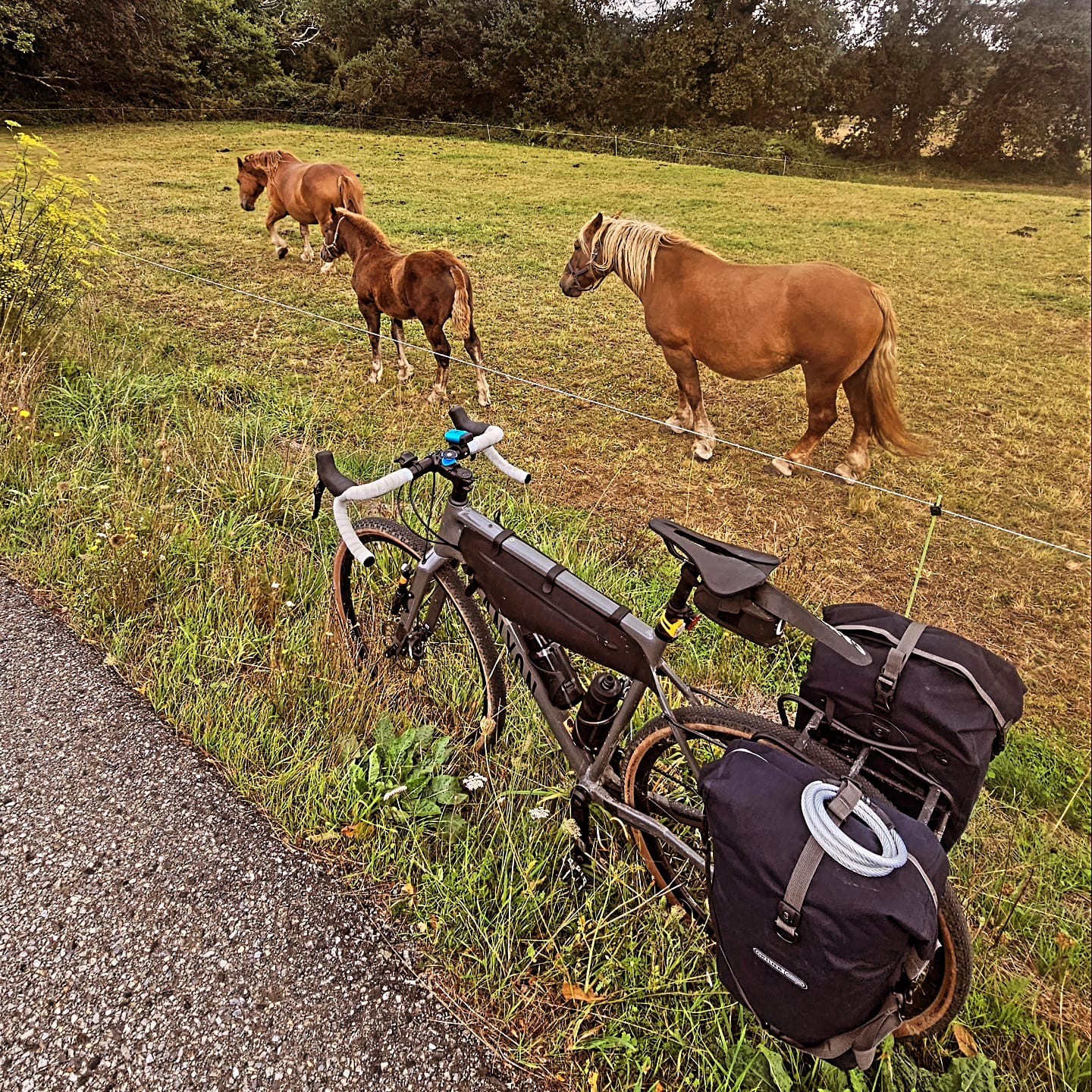 Sorin Chiuzbaian (4)