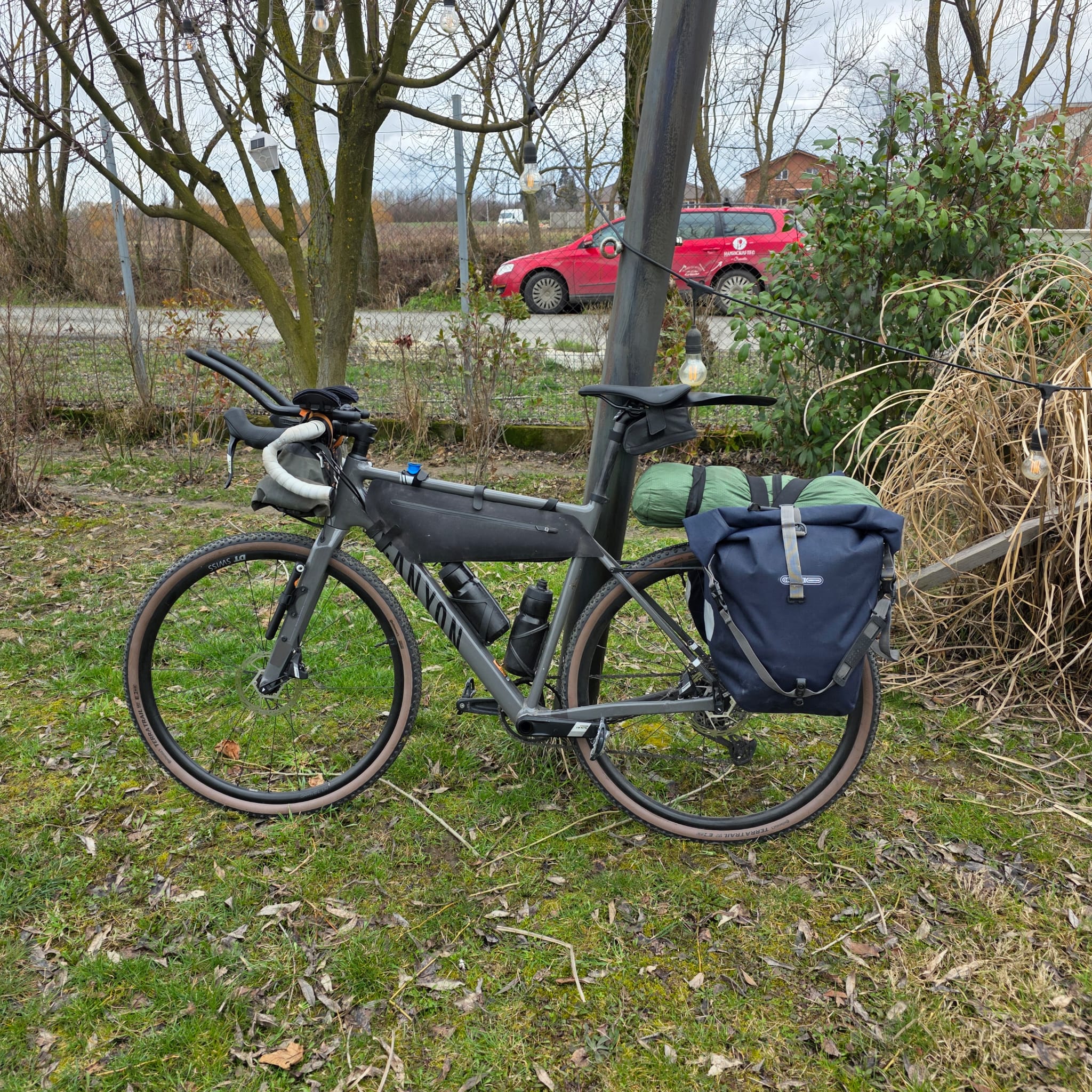 Sorin Chiuzbaian (16)