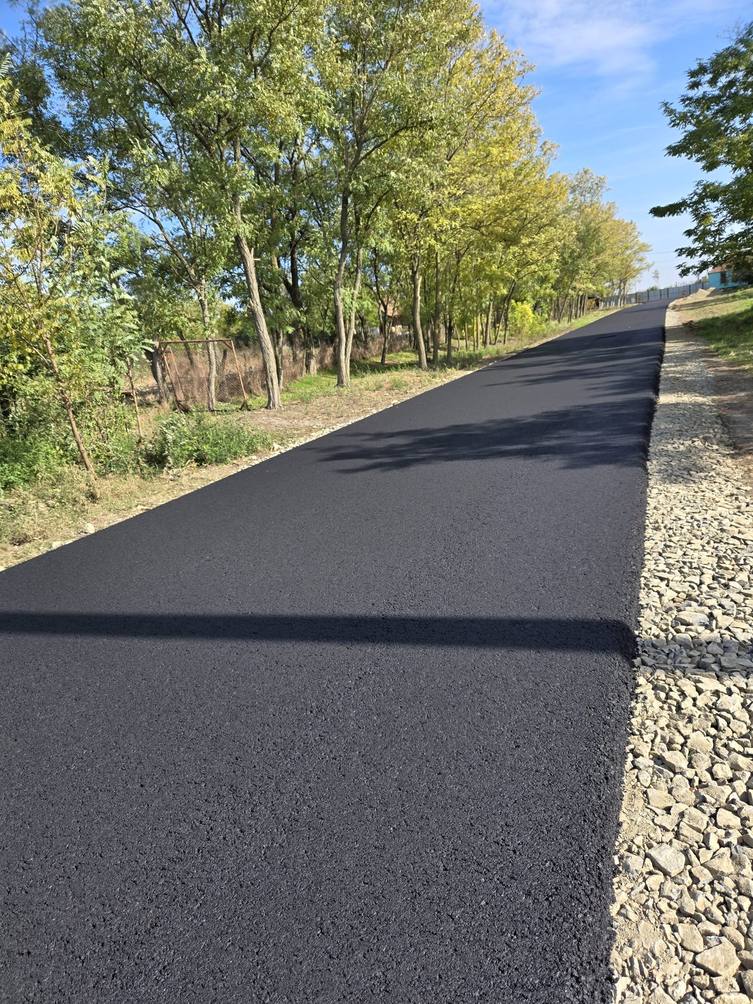 WhatsApp Image 2026-03-03 at 11.47.04 (1)