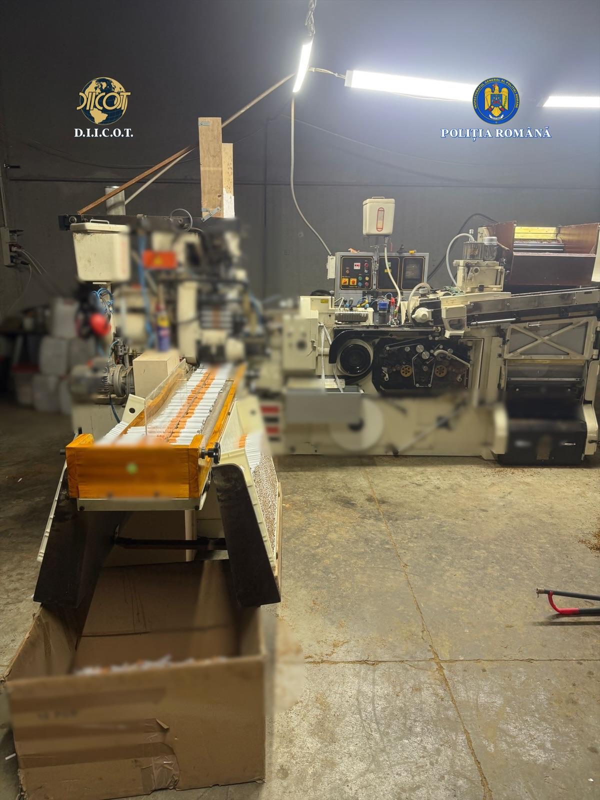 fabrica tigarete ilegale timisoara (3)