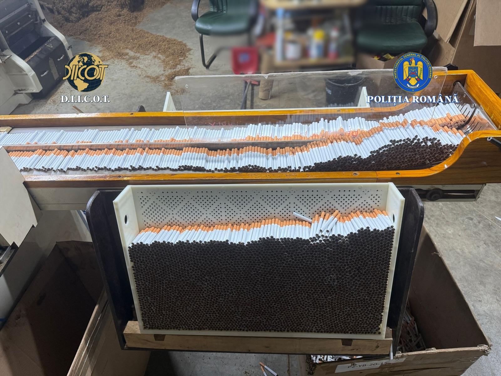 fabrica tigarete ilegale timisoara (6)