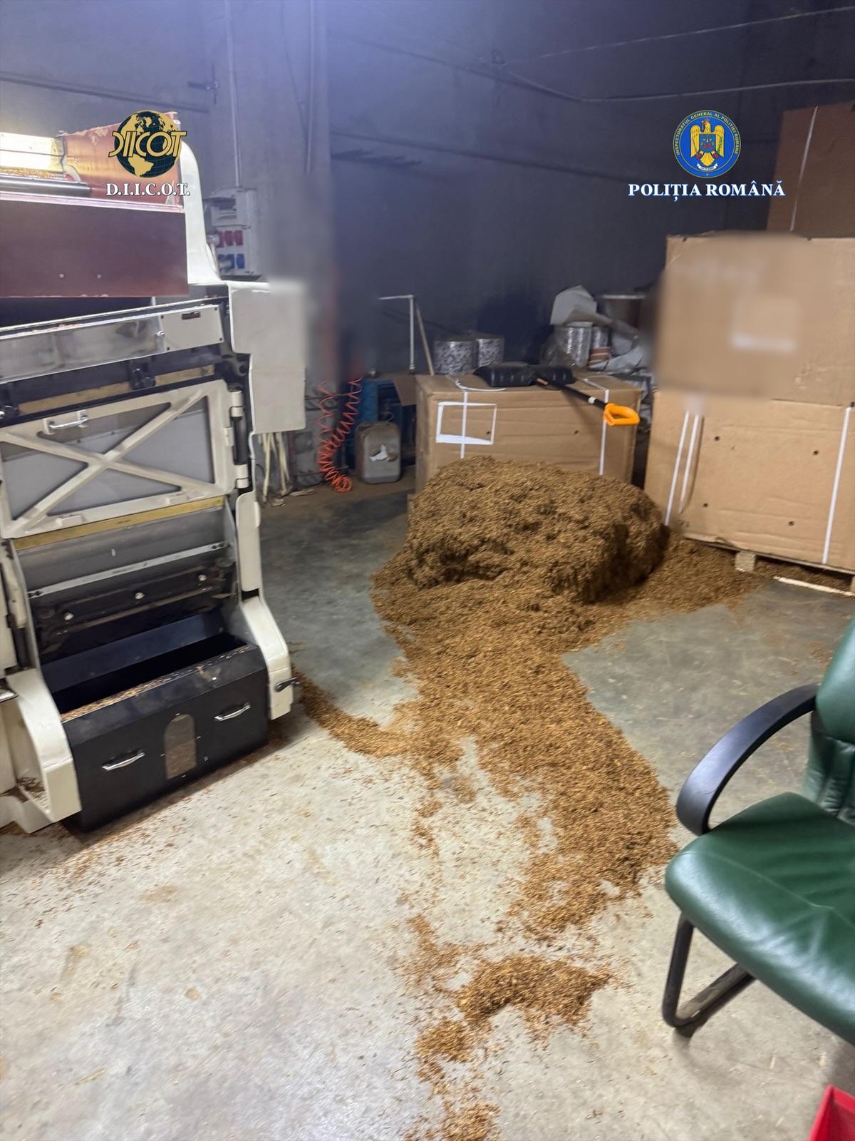 fabrica tigarete ilegale timisoara (7)