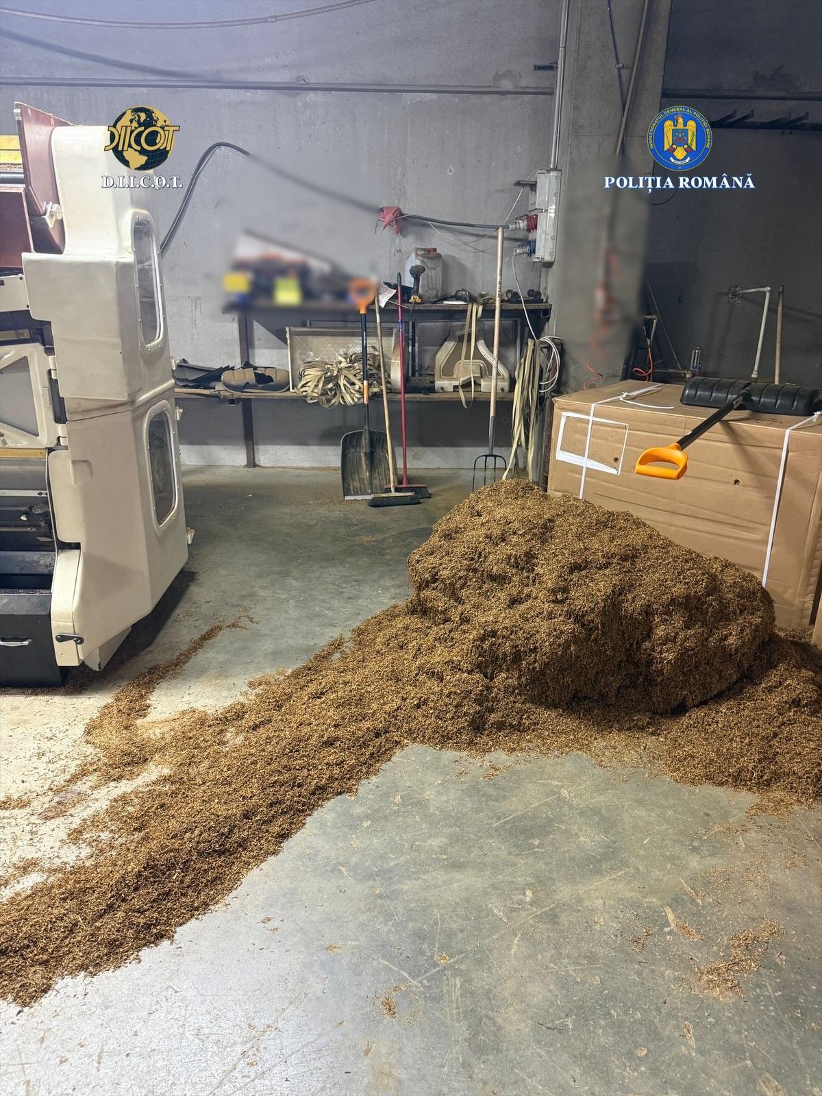 fabrica tigarete ilegale timisoara (9)