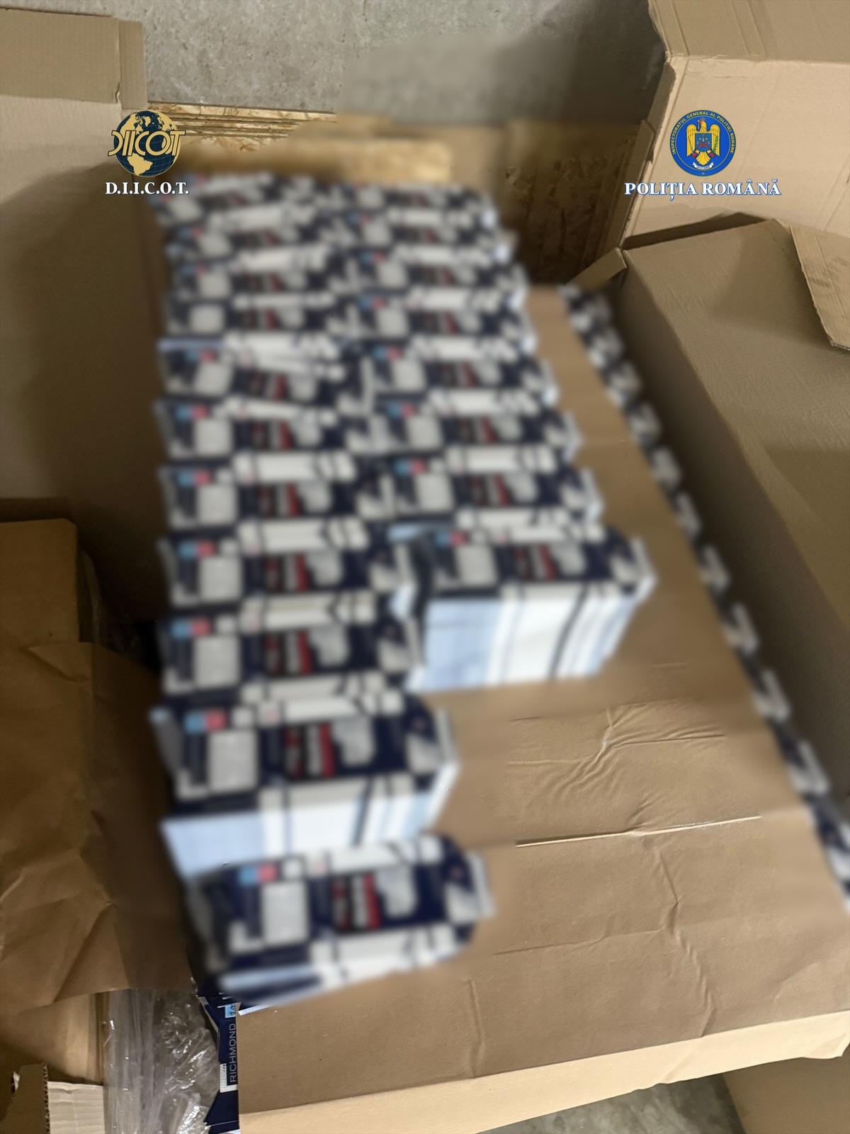 fabrica tigarete ilegale timisoara (11)