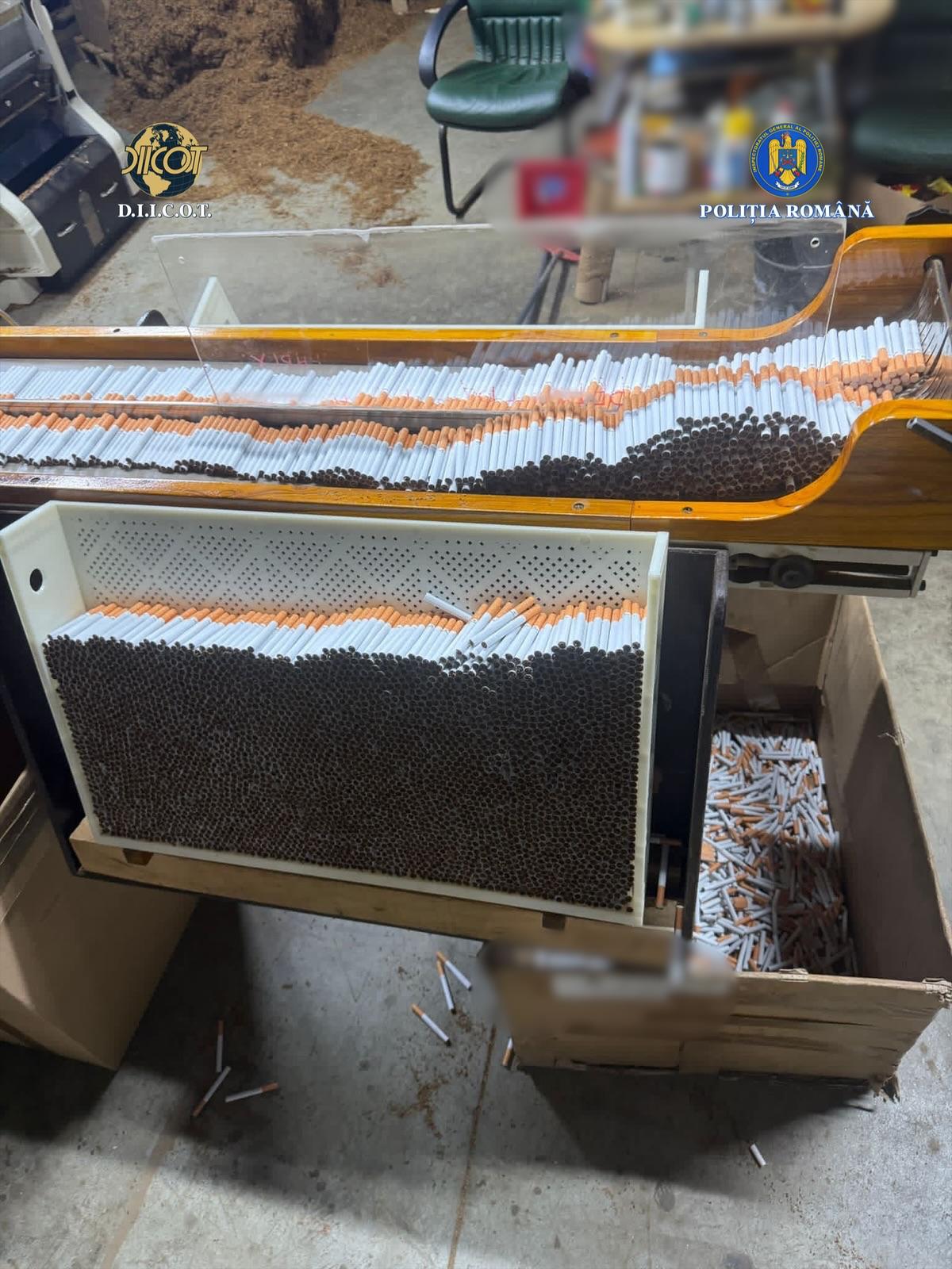 fabrica tigarete ilegale timisoara (12)