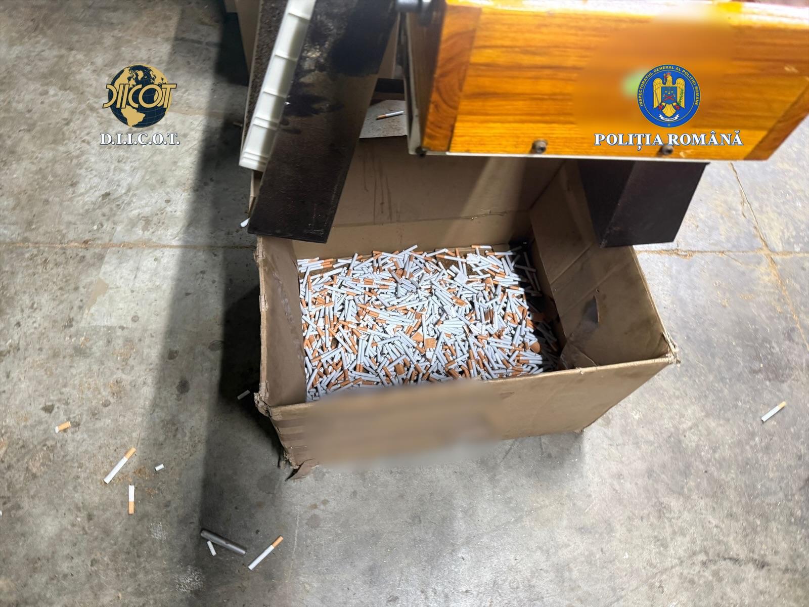 fabrica tigarete ilegale timisoara (13)