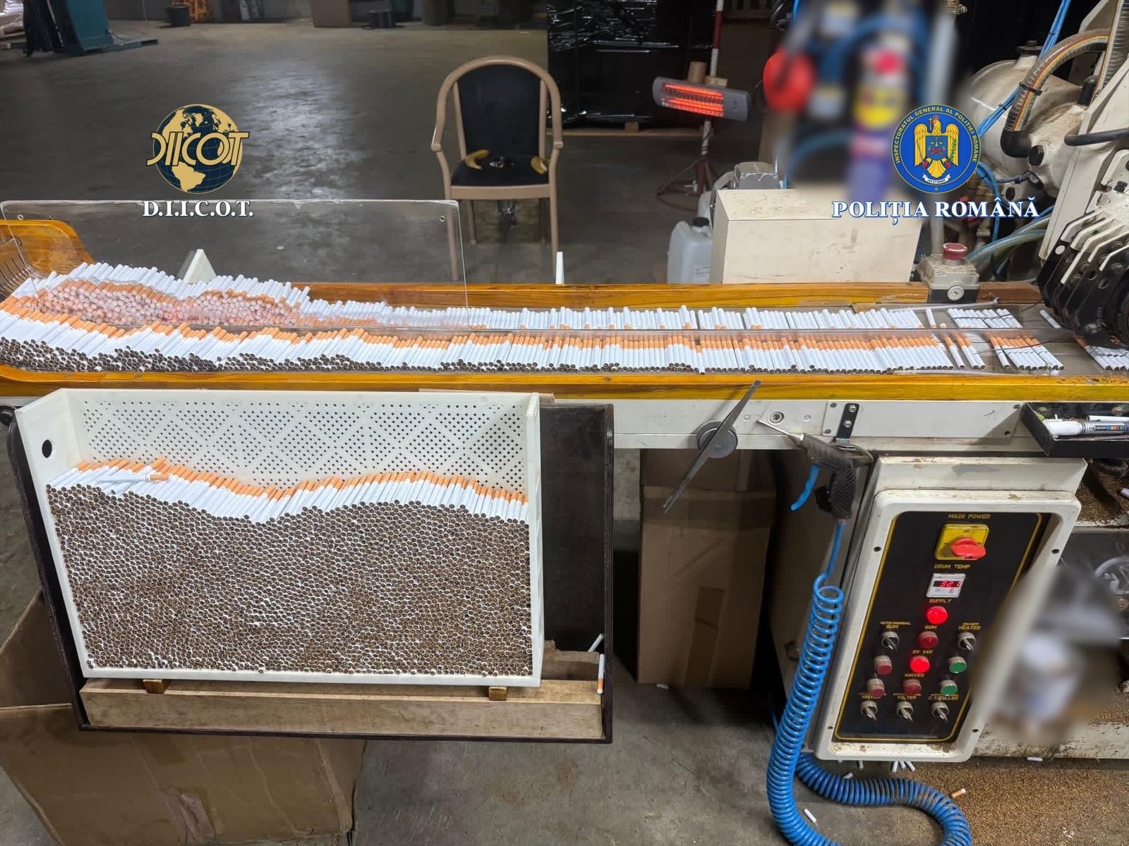 fabrica tigarete ilegale timisoara (15)