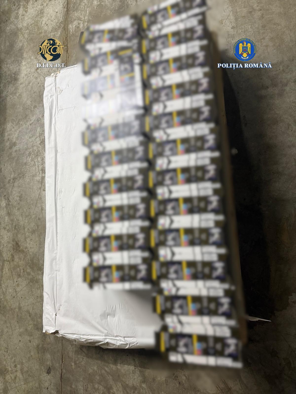 fabrica tigarete ilegale timisoara (16)