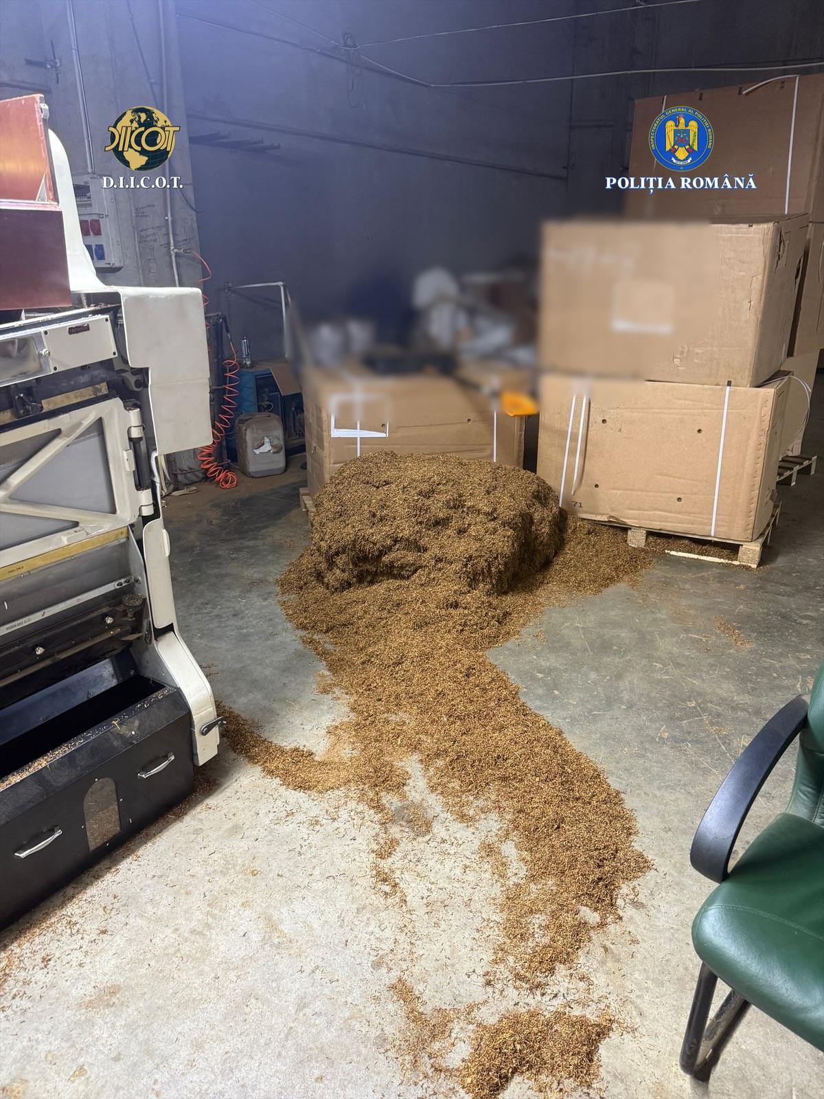 fabrica tigarete ilegale timisoara (18)