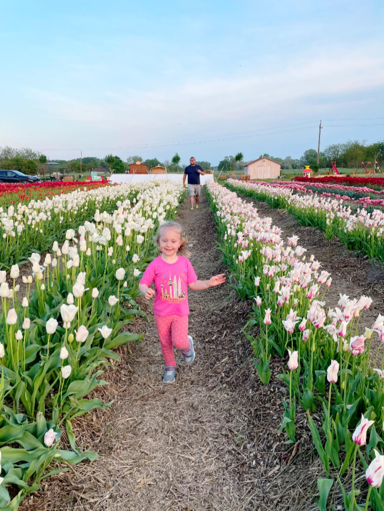 TulipGarden Mórahalom (1)
