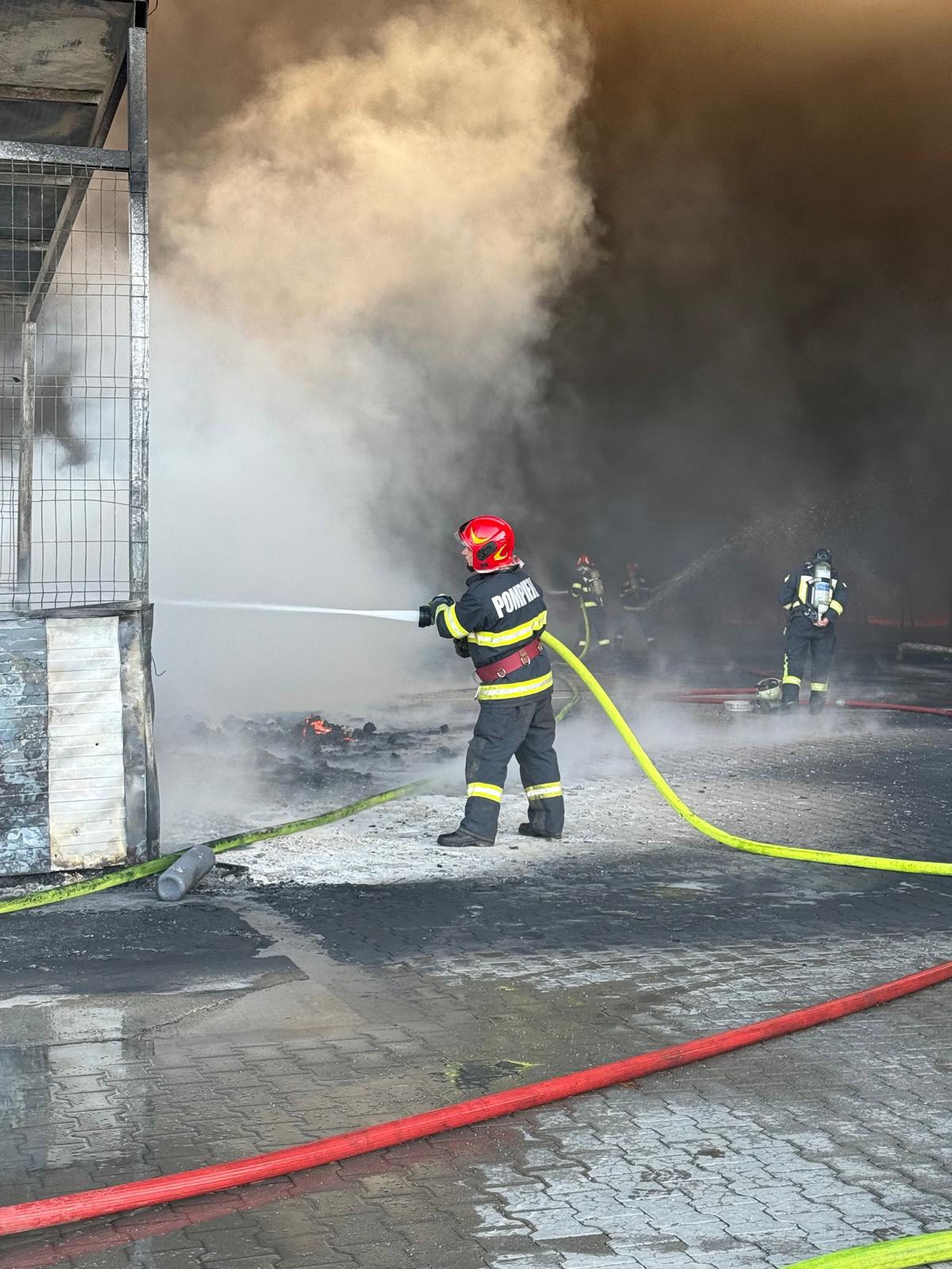 WhatsApp Image 2026-03-11 at 08.48.40 (1)