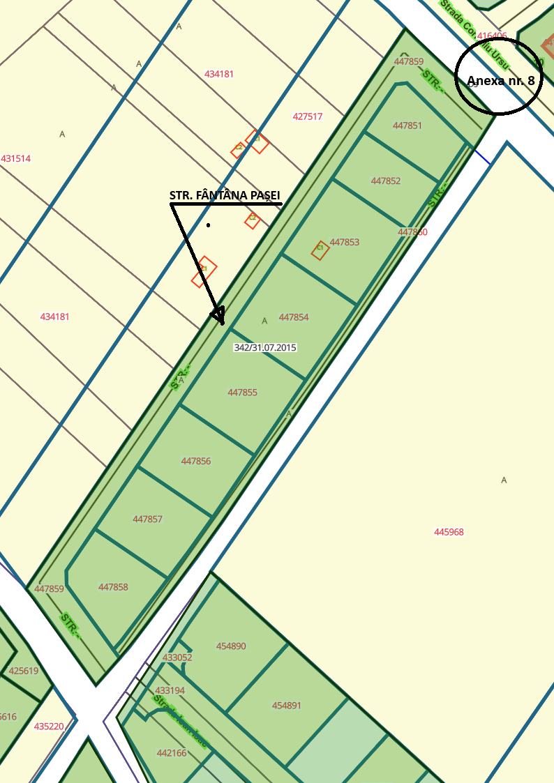 Anexa nr. 8
