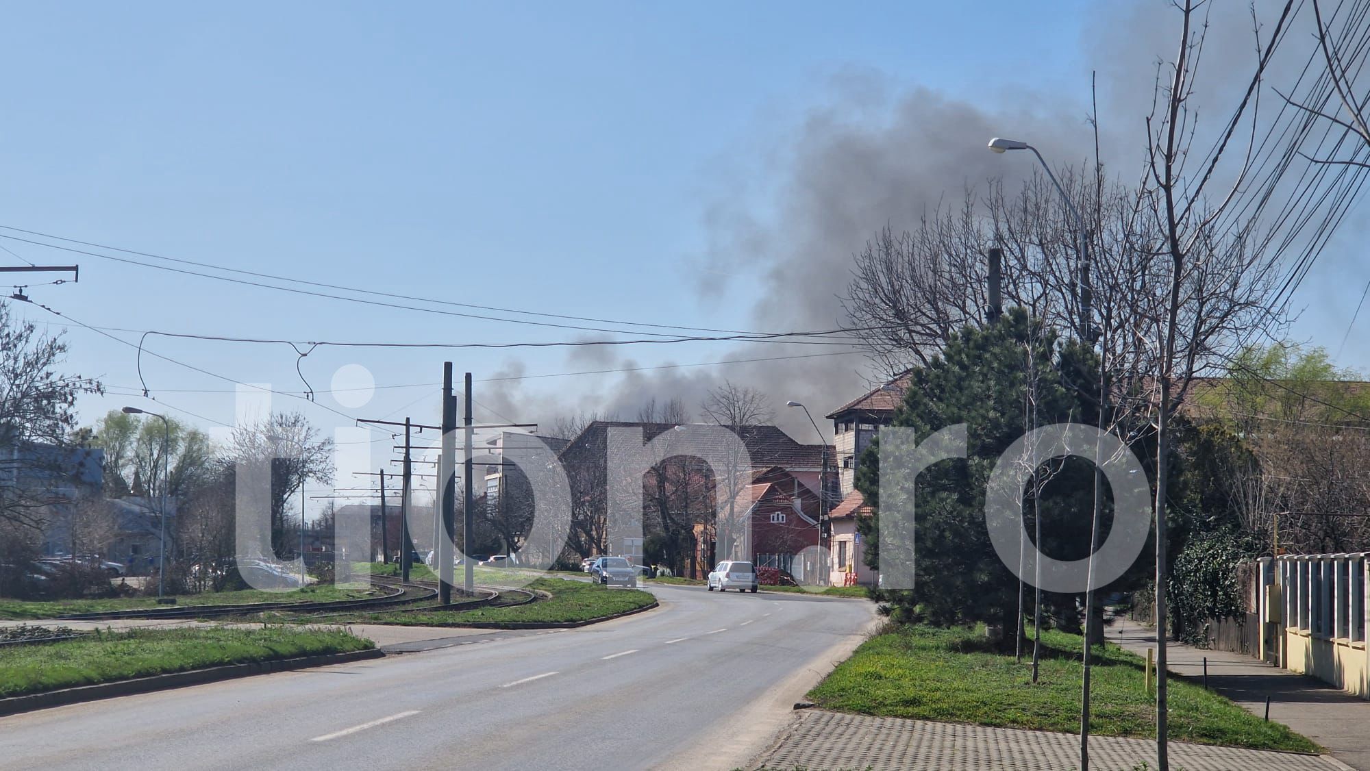 WhatsApp Image 2026-03-11 at 13.20.54