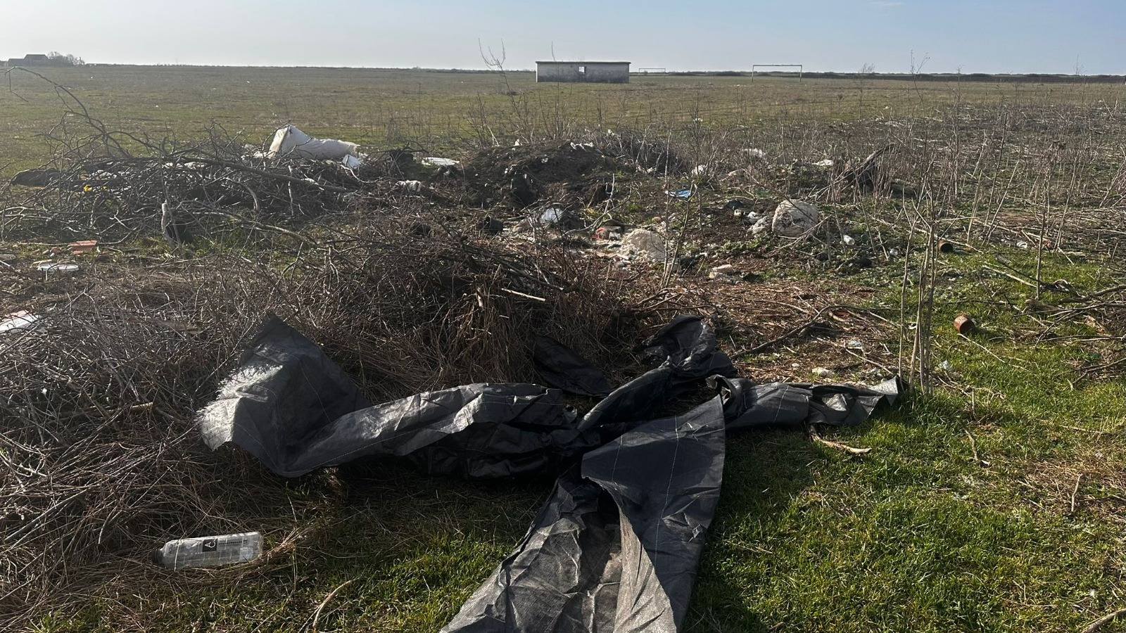 gropi clandestine timis (1)