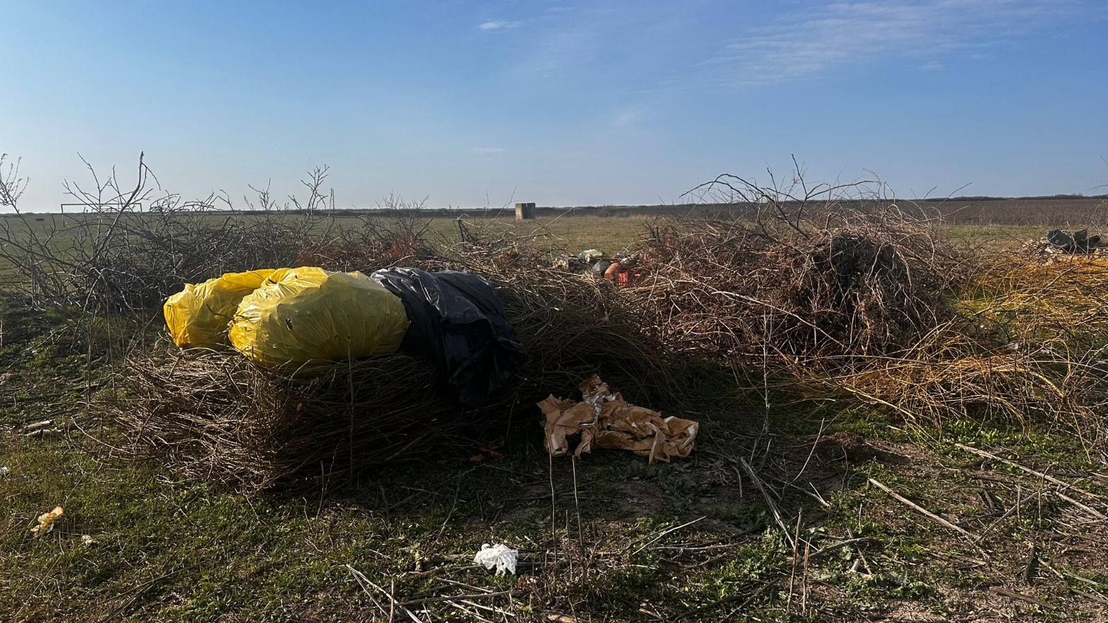 gropi clandestine timis (4)