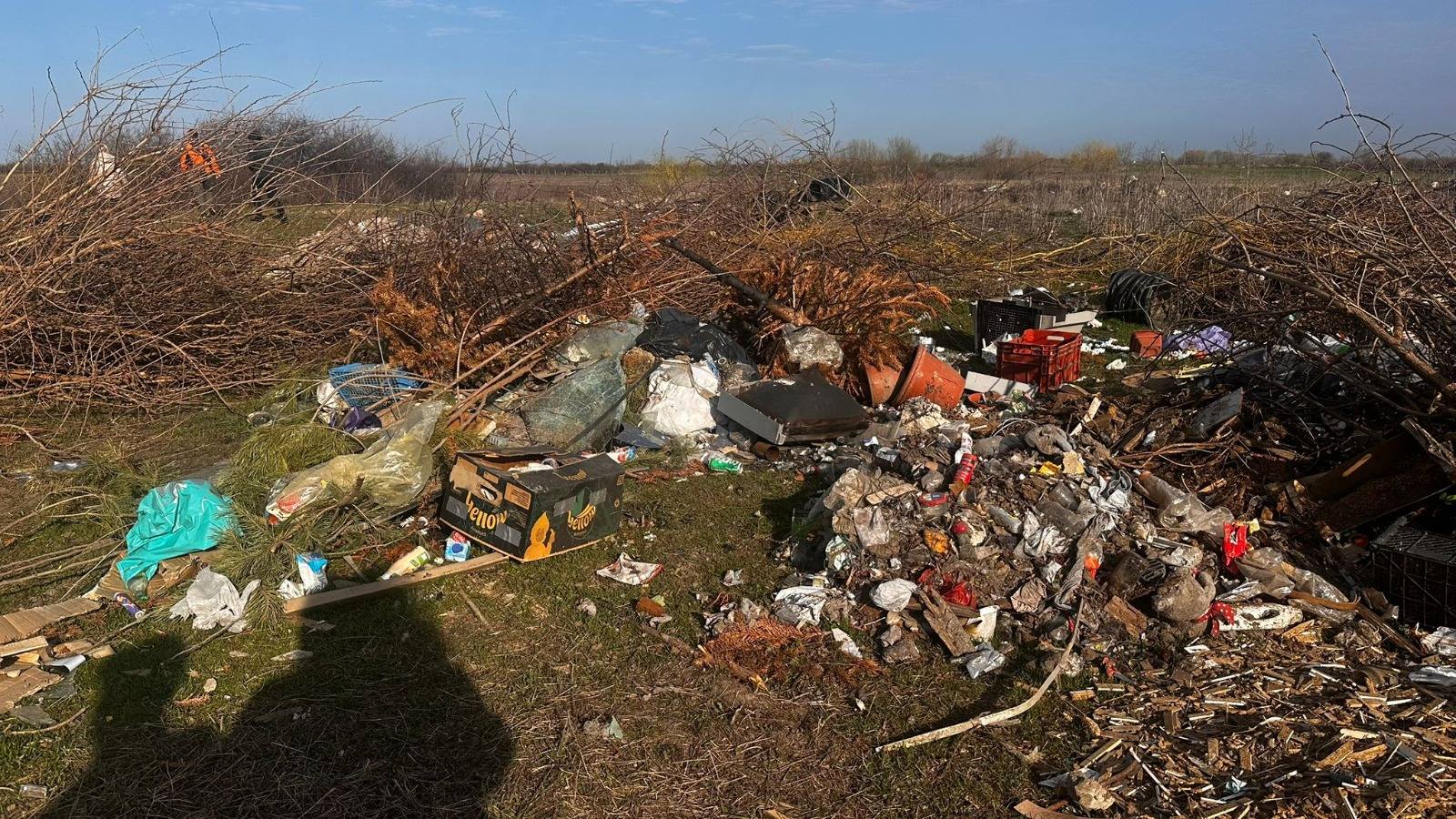 gropi clandestine timis (19)