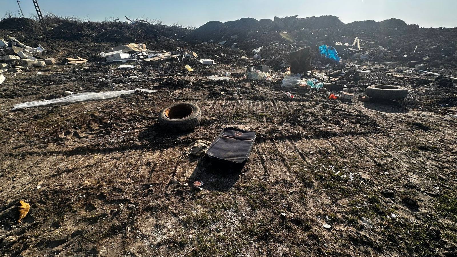 gropi clandestine timis (12)