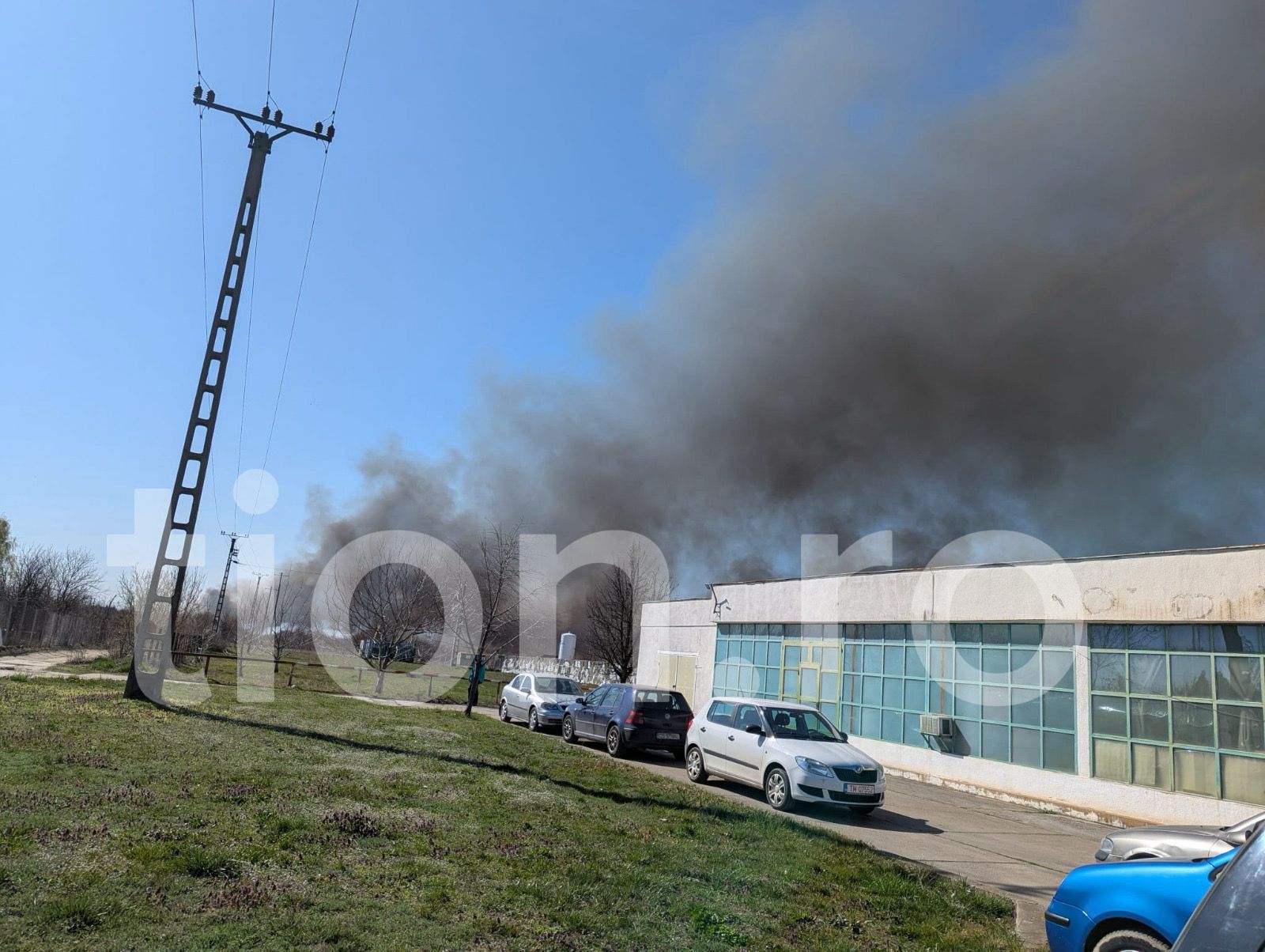 WhatsApp Image 2026-03-11 at 13.50.59