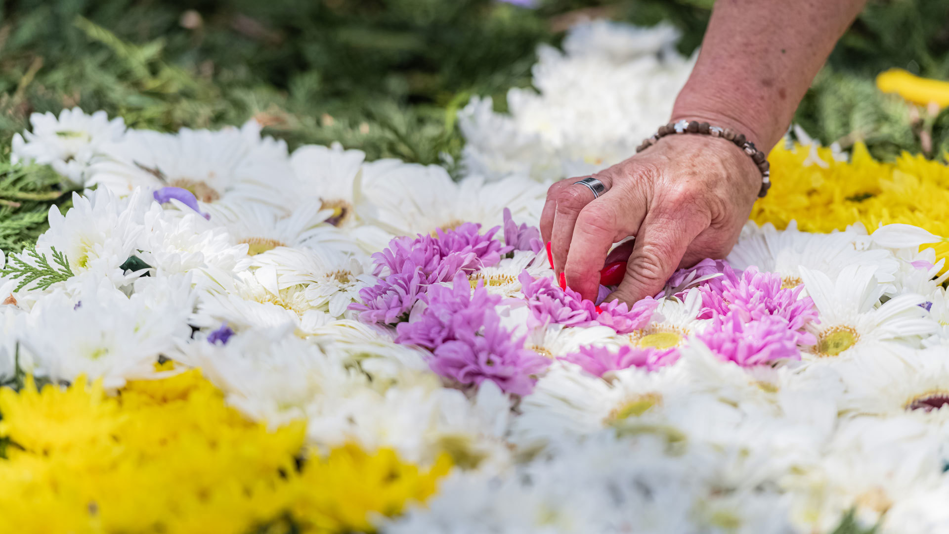 festivalul florilor madeira (3)