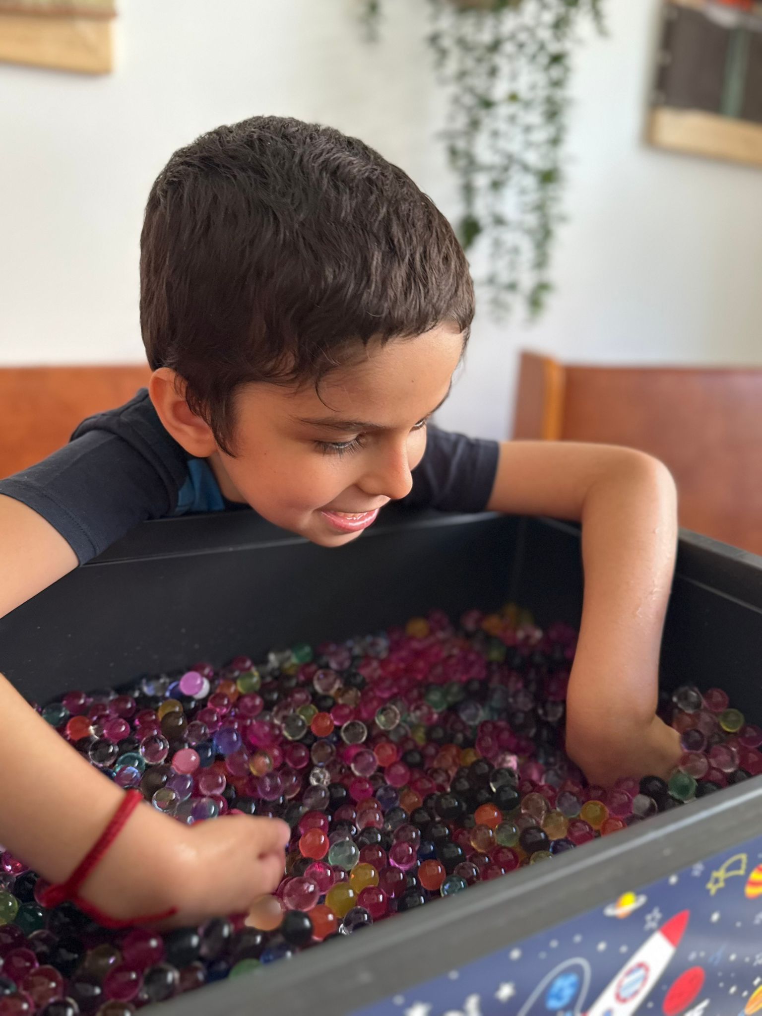 centrul podul lung dastm (15)