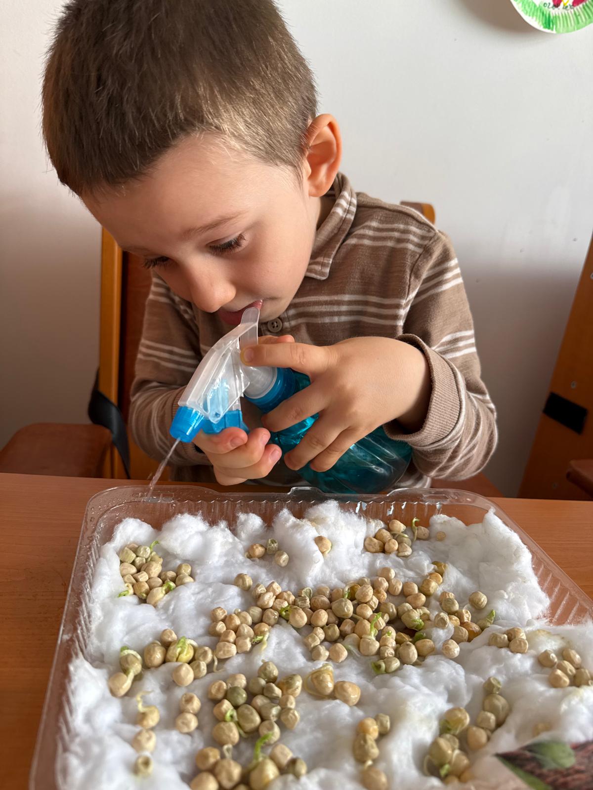 centrul podul lung dastm (24)