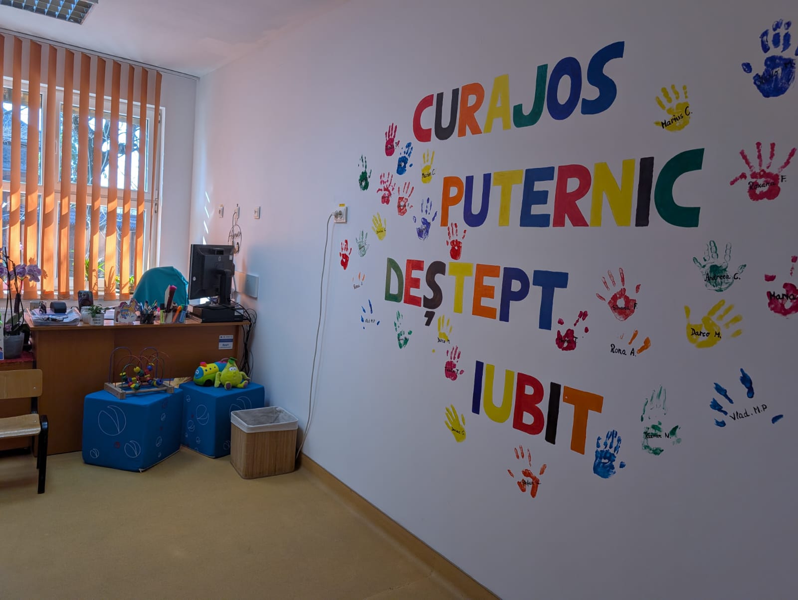 centrul de zi podul lung timisoara (3)