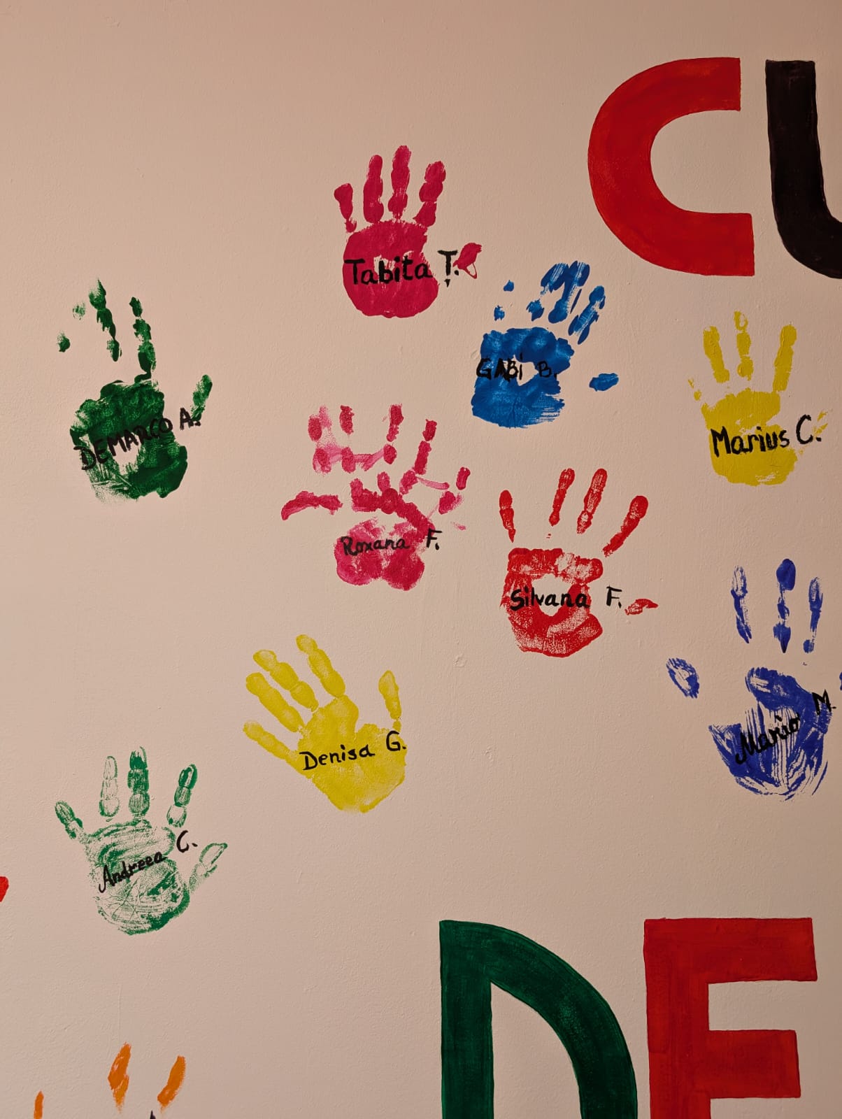 centrul de zi podul lung timisoara (6)