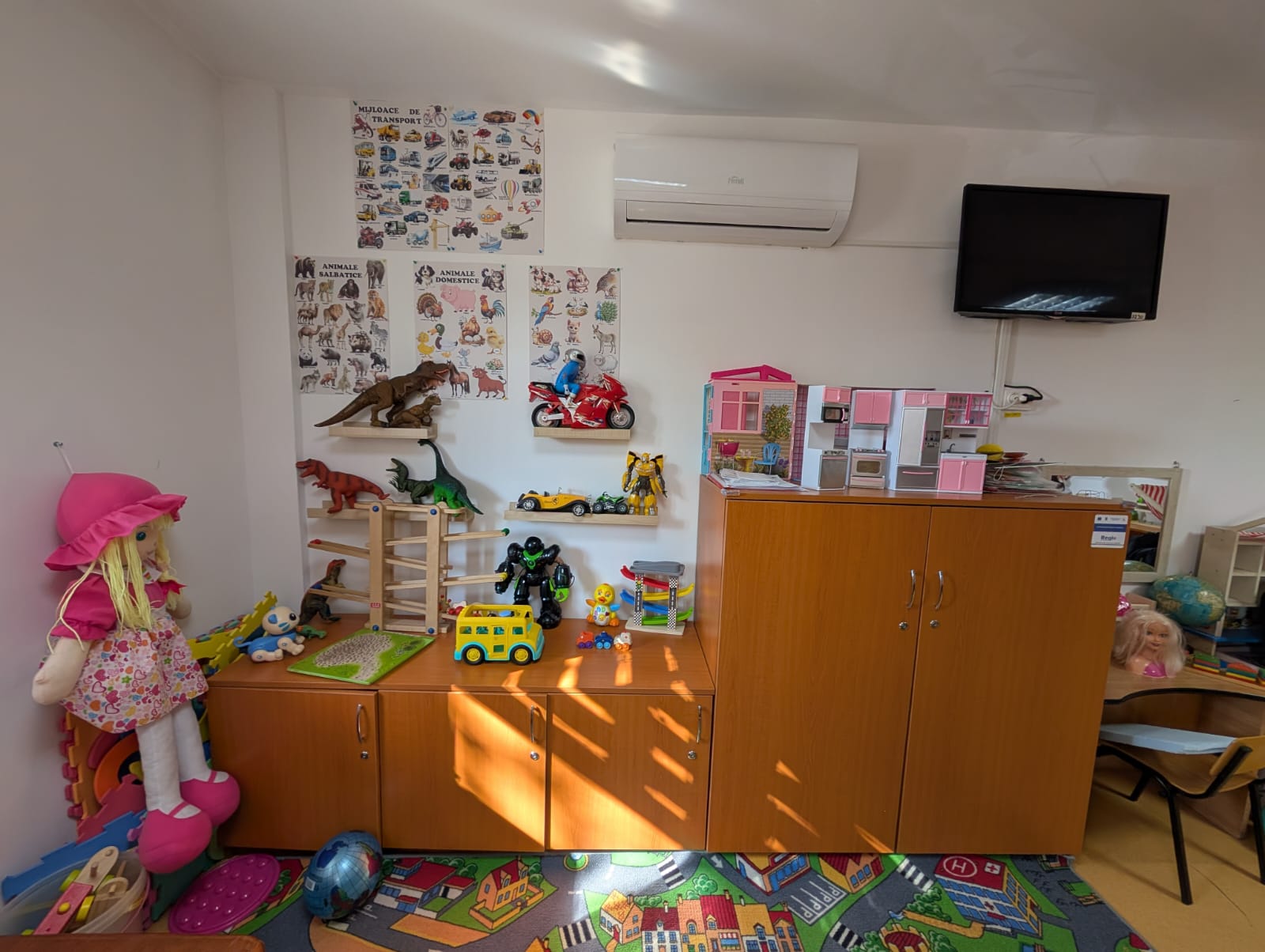 centrul de zi podul lung timisoara (16)