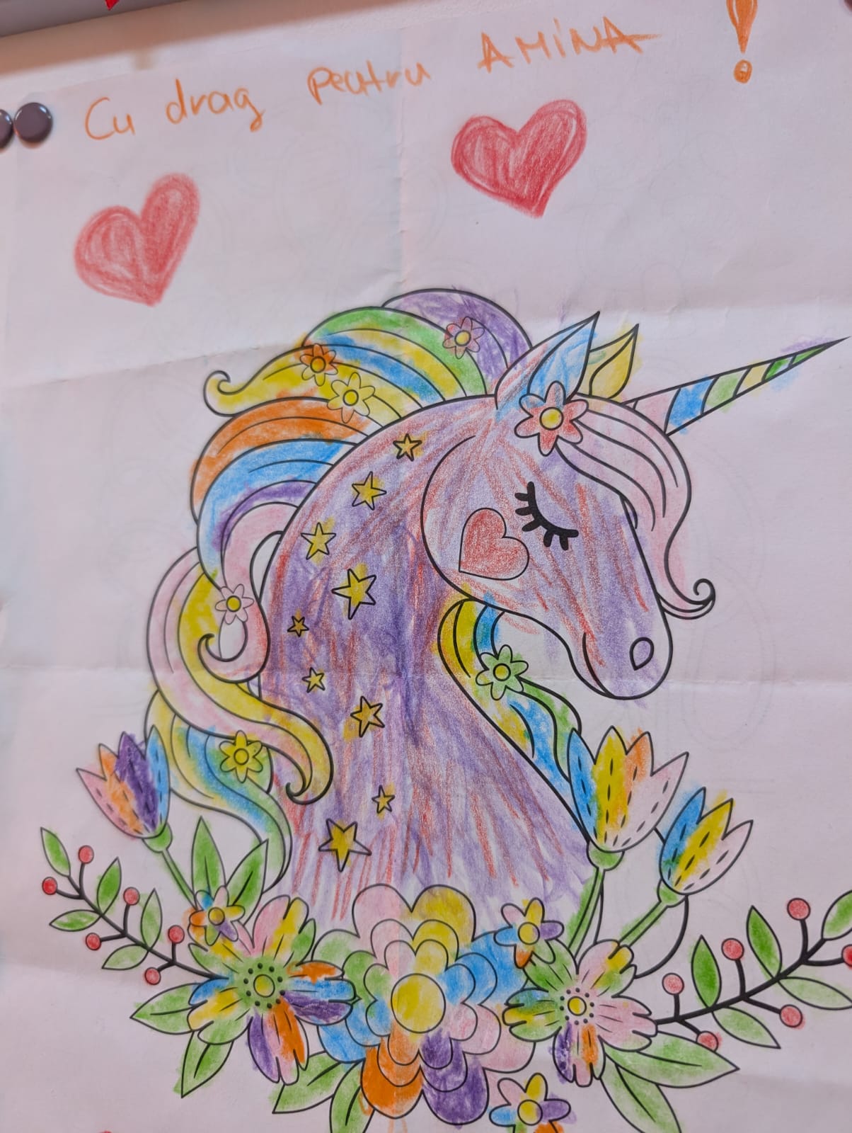 centrul de zi podul lung timisoara (28)