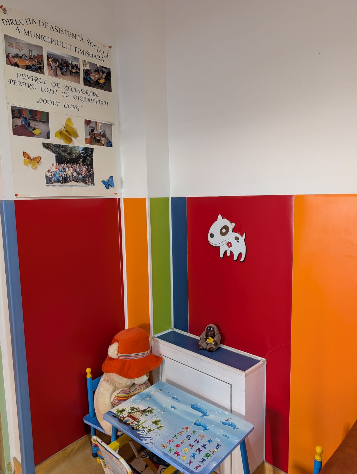 centrul de zi podul lung timisoara (29)