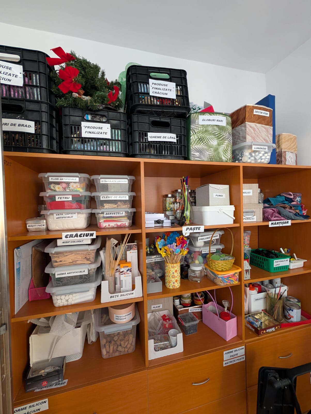 centrul de zi podul lung timisoara (40)