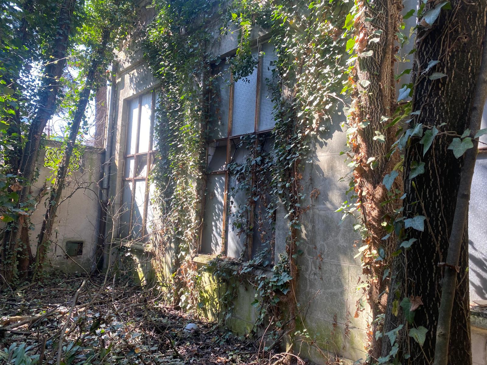 Clădire din curtea Vilei Internațional (13)