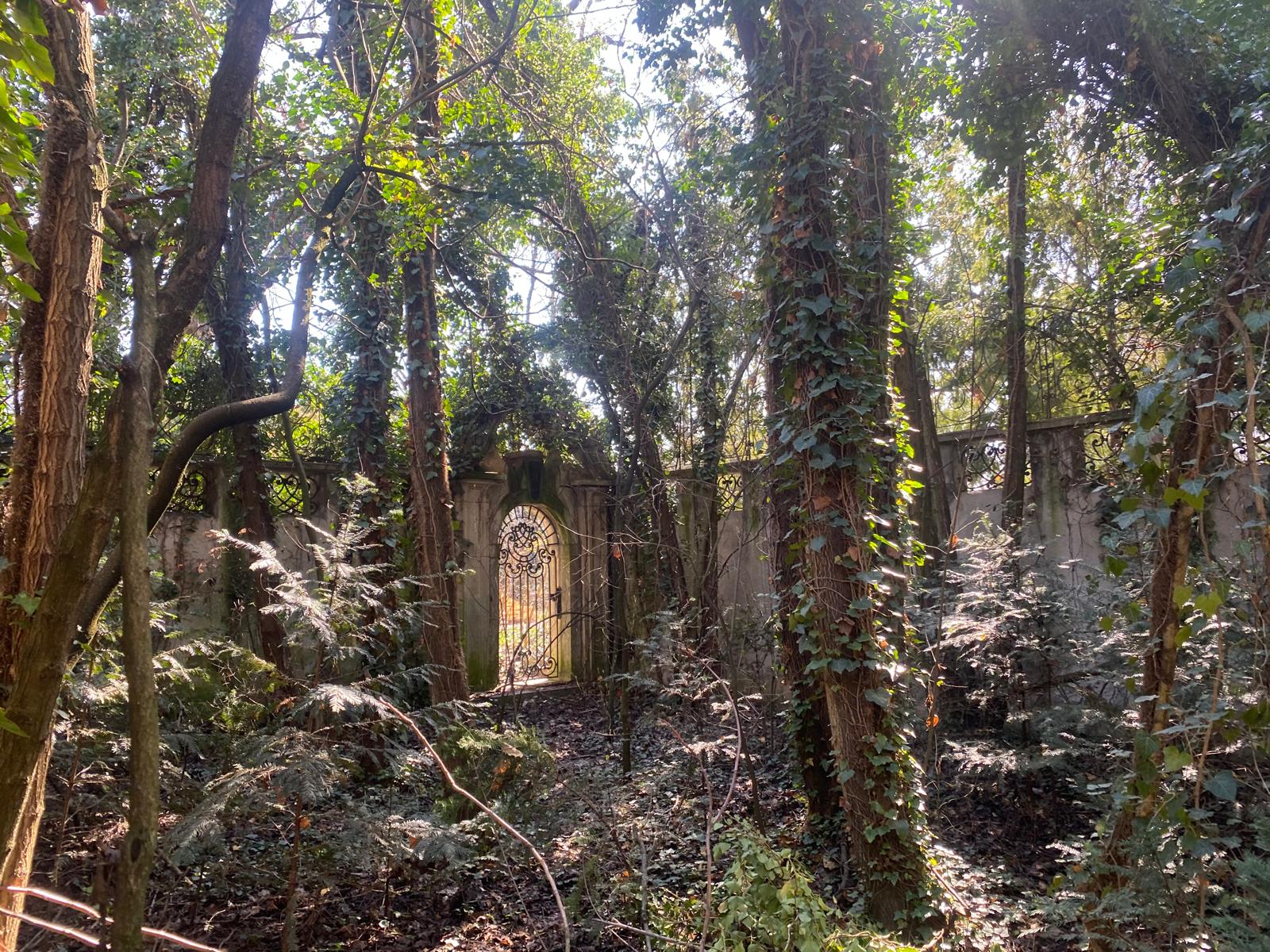 Clădire din curtea Vilei Internațional (12)