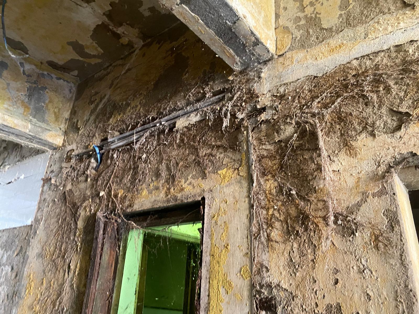 Clădire din curtea Vilei Internațional (4)