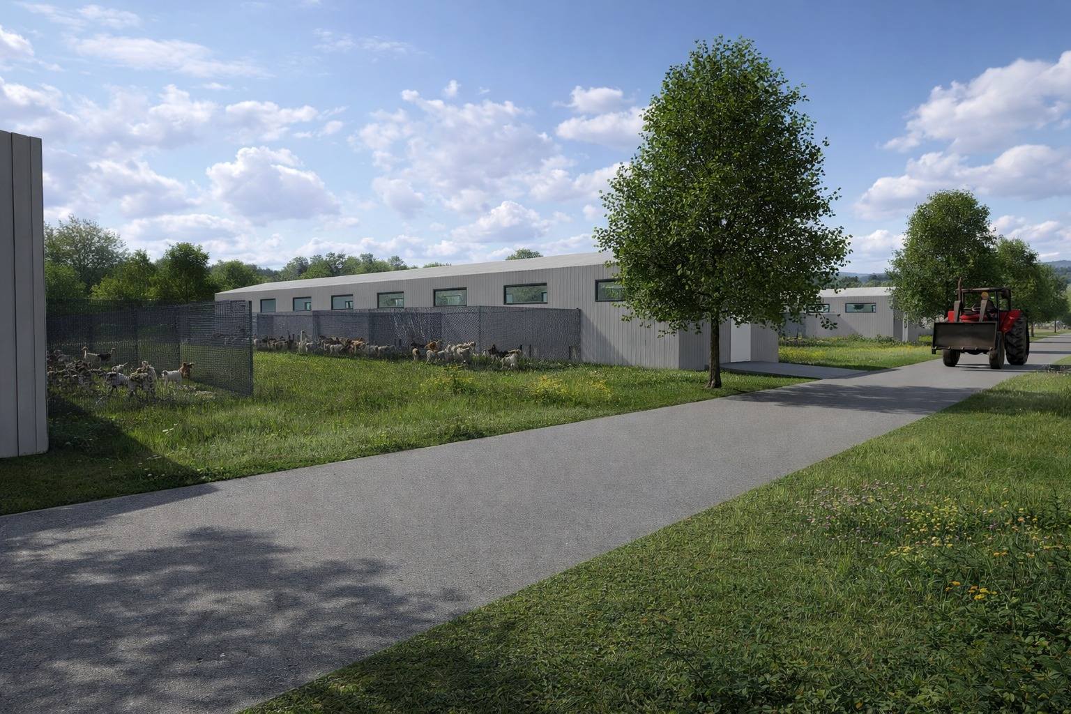 Adăpost animale CJT