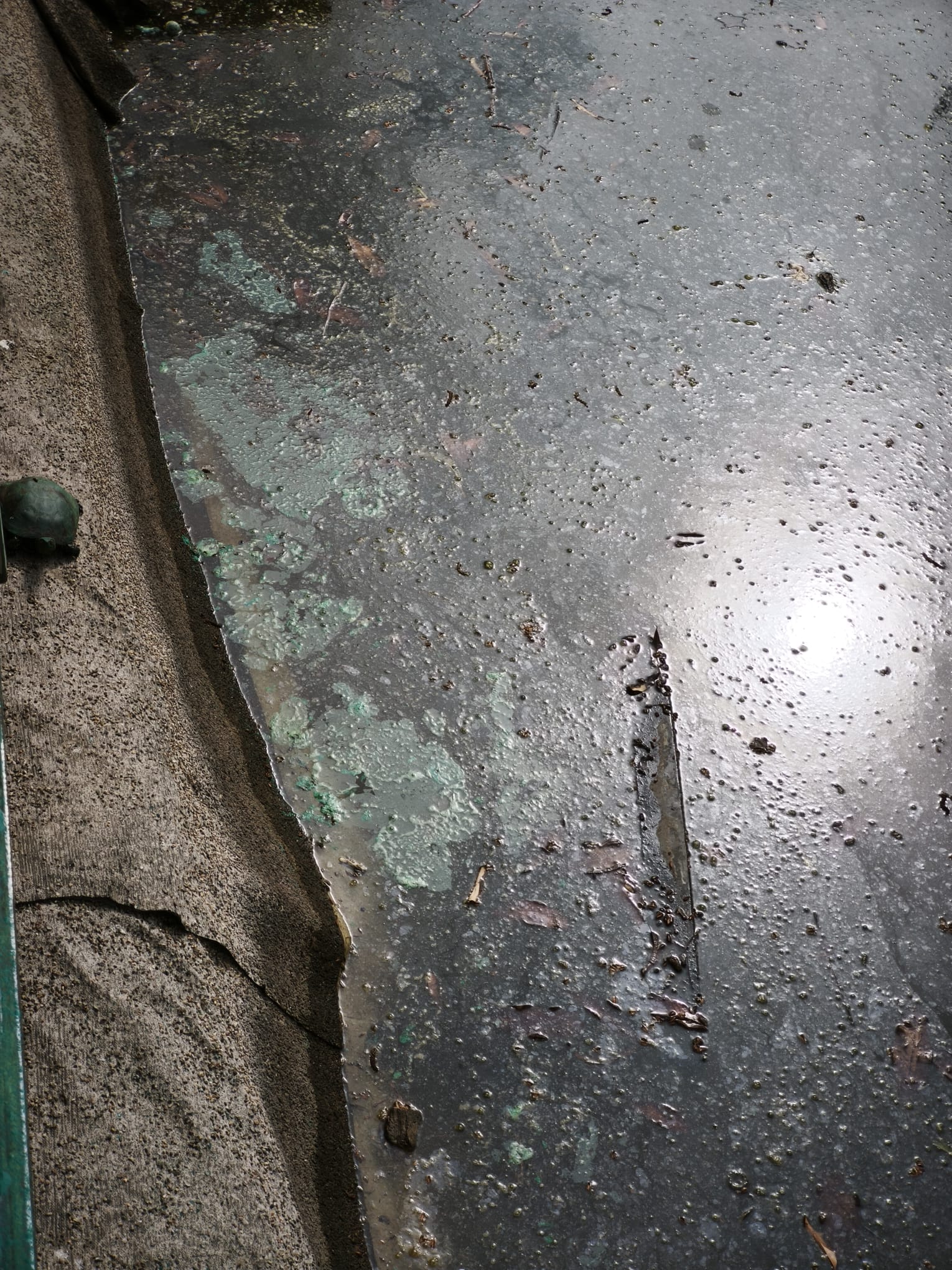 WhatsApp Image 2026-03-17 at 14.23.09 (2)