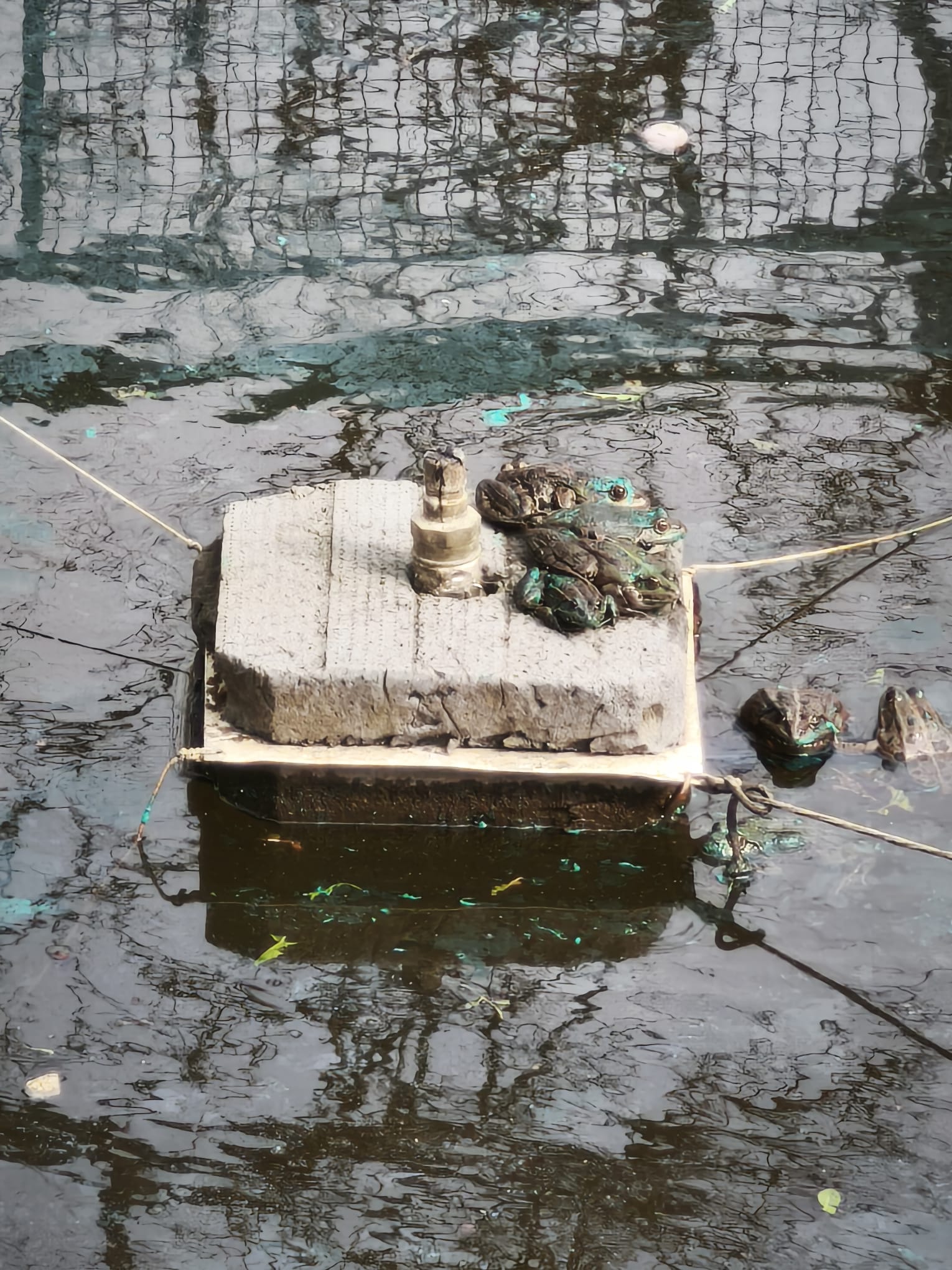 WhatsApp Image 2026-03-17 at 14.23.09 (3)