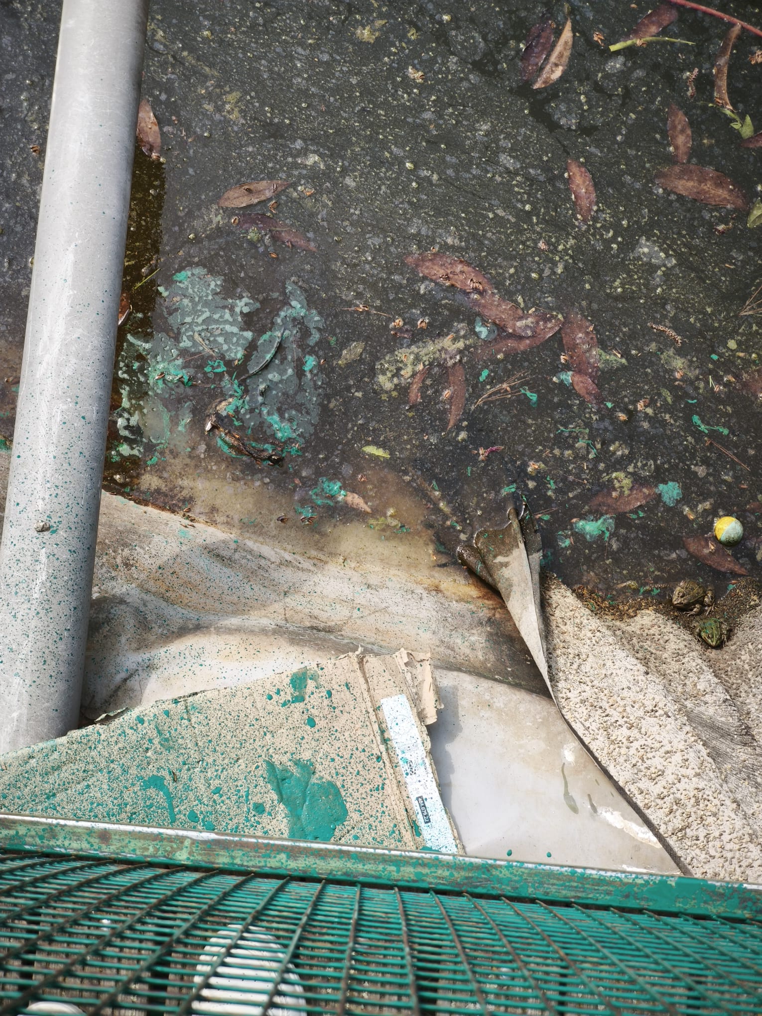 WhatsApp Image 2026-03-17 at 14.23.09 (4)