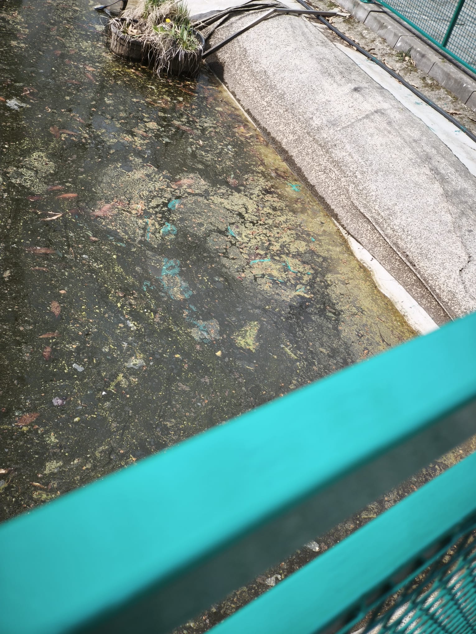 WhatsApp Image 2026-03-17 at 14.23.09 (5)